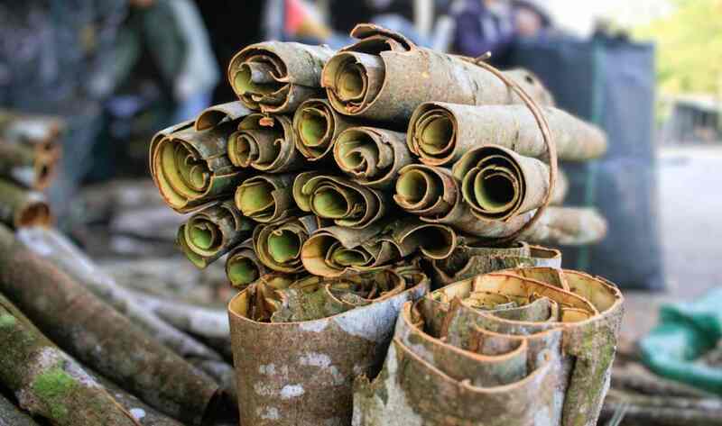 TOP 25 đặc sản Quảng Ngãi ngon khó cưỡng, ăn là mê 9