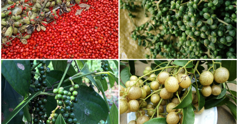 Top 37 món đặc sản Sơn La gói trọn hương vị núi rừng Tây Bắc 22