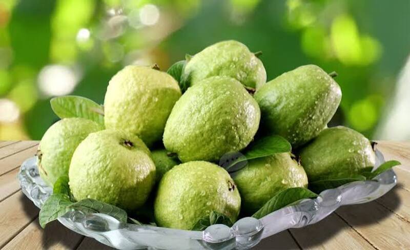 20 món đặc sản Thái Bình gây thương nhớ lữ khách phương xa 14