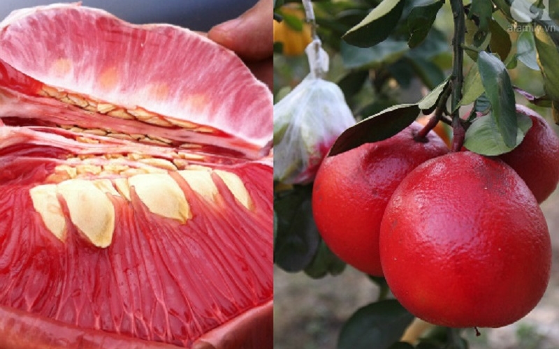 Top 25 món đặc sản Thanh Hóa ăn một lần là nhớ mãi 18