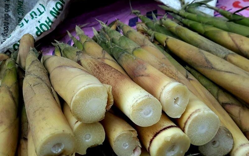 Top 25 món đặc sản Thanh Hóa ăn một lần là nhớ mãi 20