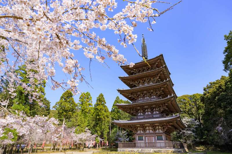 Daigoji quần thể chùa di sản đậm giá trị lịch sử ở Kyoto Nhật Bản 2