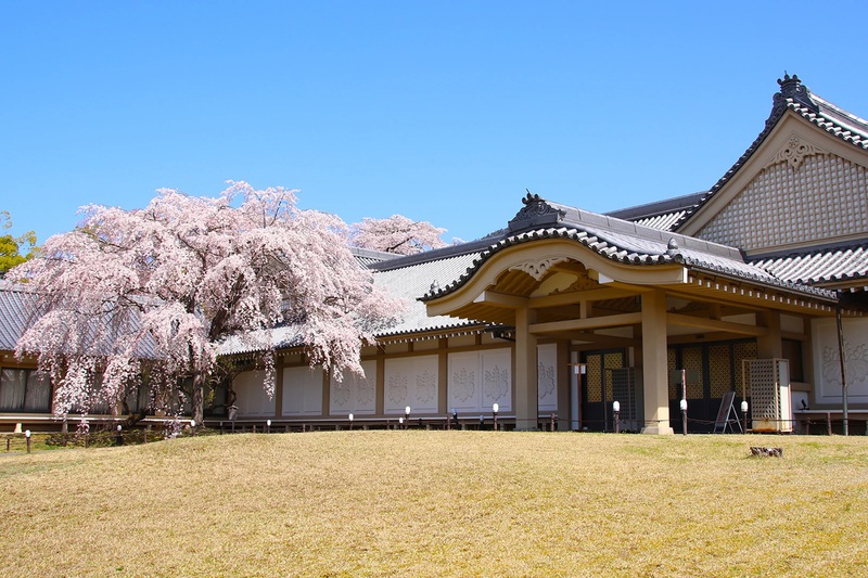 Daigoji quần thể chùa di sản đậm giá trị lịch sử ở Kyoto Nhật Bản 5