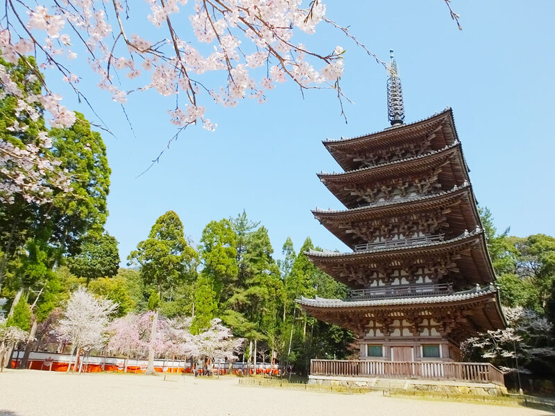 Daigoji quần thể chùa di sản đậm giá trị lịch sử ở Kyoto Nhật Bản 11