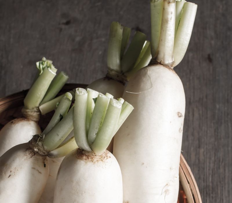Daikon: Tinh hoa ẩm thực xứ Phù Tang và bí quyết thưởng thức 7