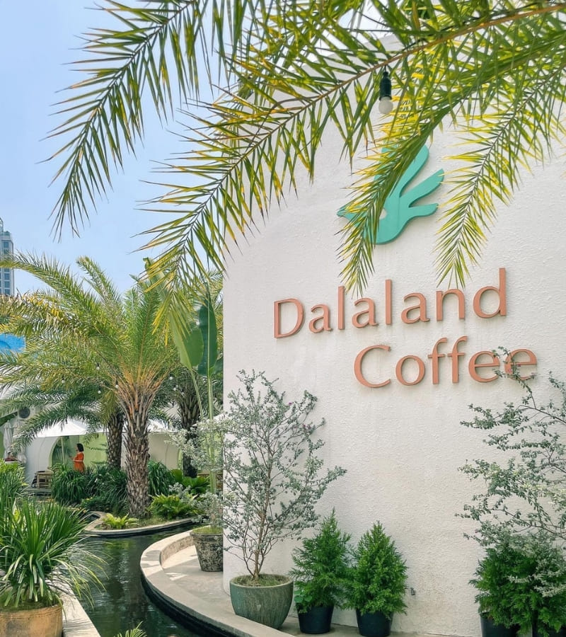 Dalaland Coffee, ốc đảo Địa Trung Hải cực hot giữa thành phố 2