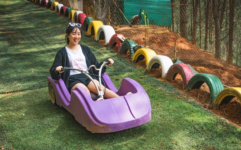 Dalat Wonderland: Thiên đường giải trí độc đáo giữa lòng Đà Lạt 7