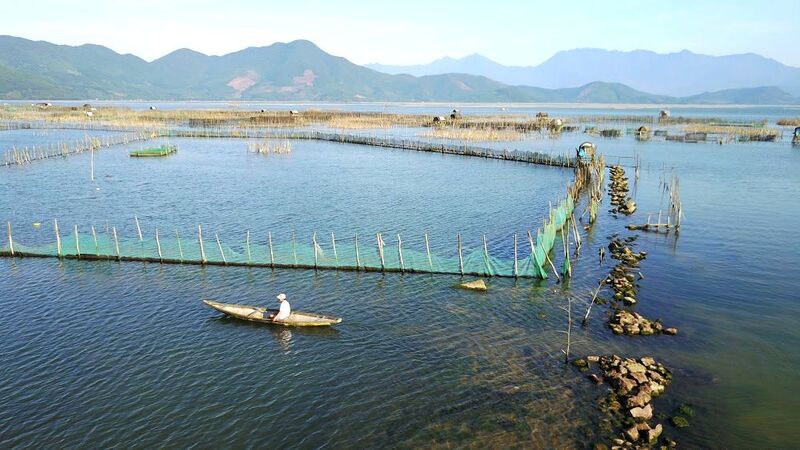 Đầm Cầu Hai - Tuyệt tác thiên nhiên của vùng đất cố đô 7