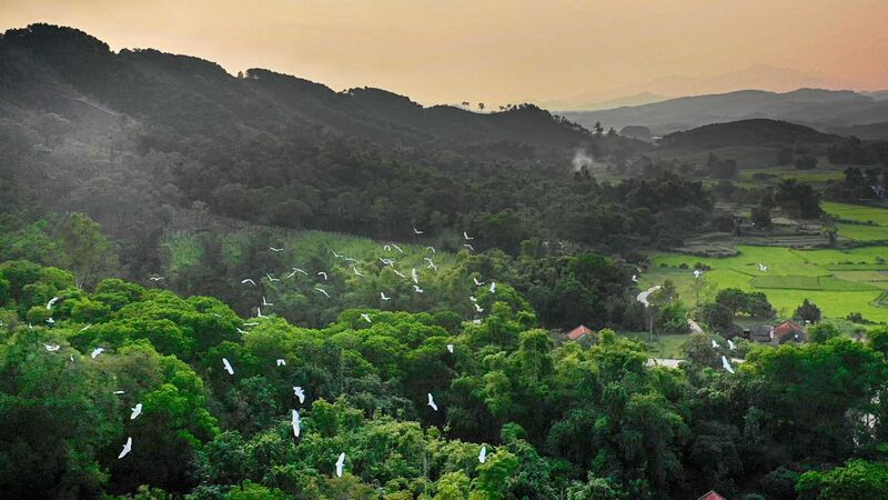 Du lịch Đầm Hà, Quảng Ninh: Khám phá vùng đất hoang sơ ít người biết 4