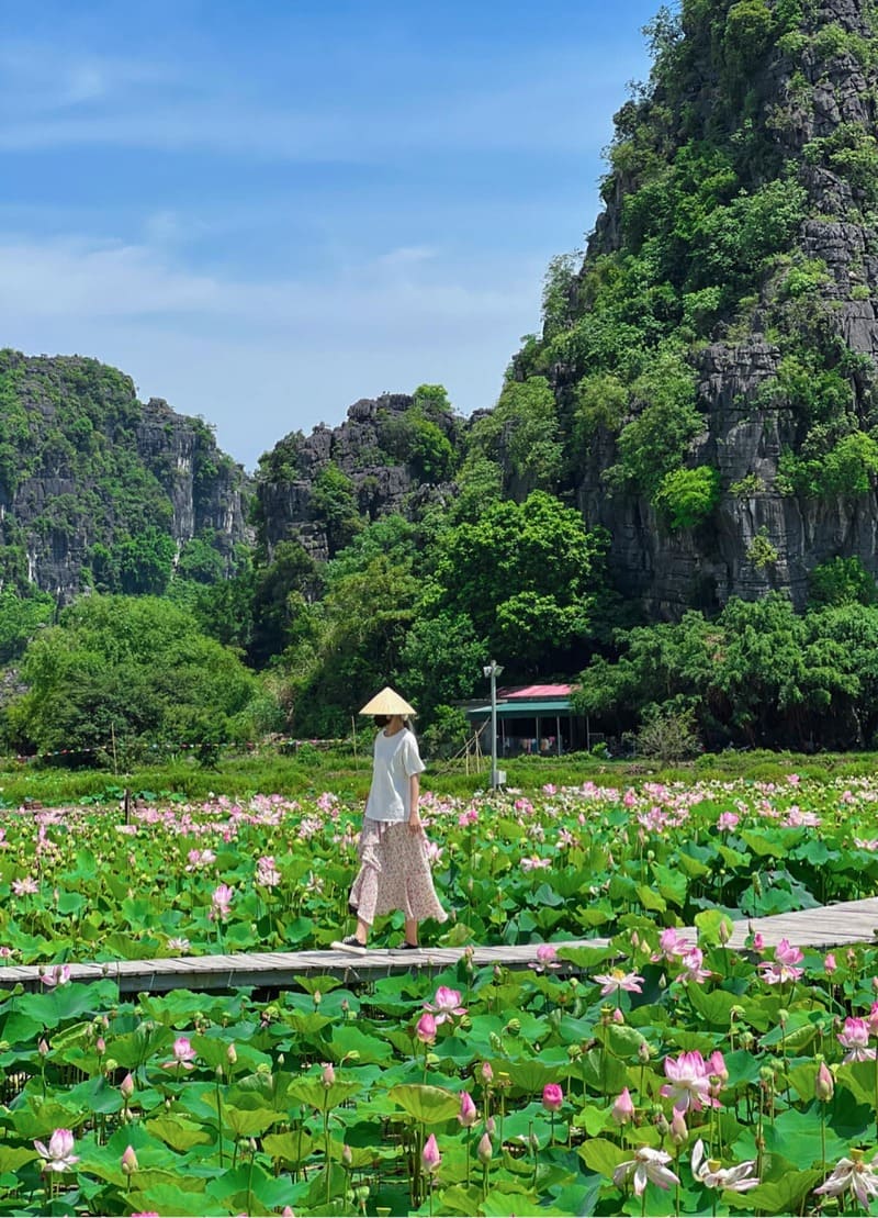 Đầm sen Hang Múa, điểm đến với vẻ đẹp thơ mộng tại Ninh Bình 2