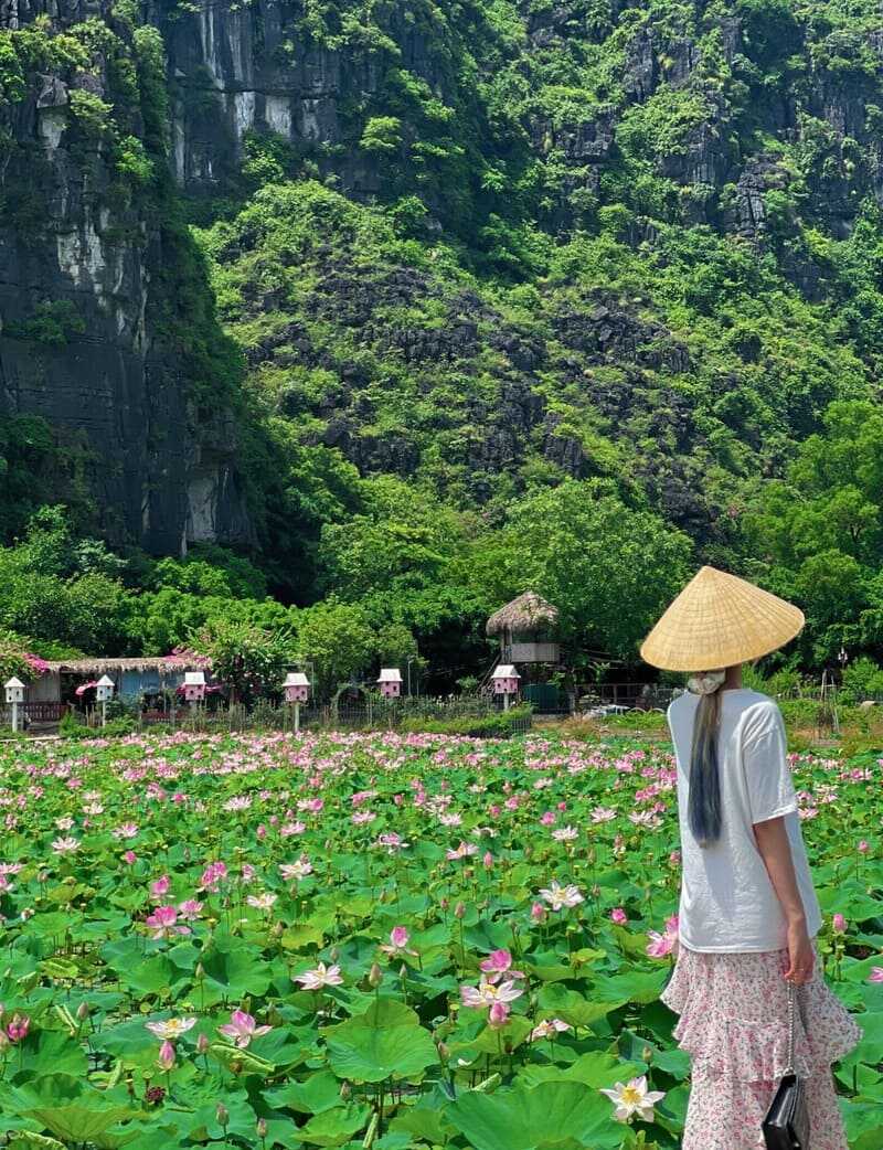 Đầm sen Hang Múa, điểm đến với vẻ đẹp thơ mộng tại Ninh Bình 4