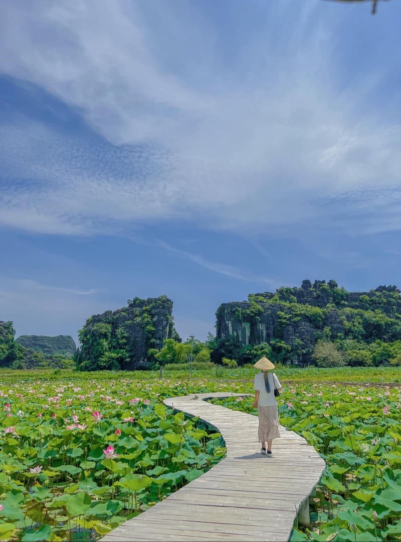 Đầm sen Hang Múa, điểm đến với vẻ đẹp thơ mộng tại Ninh Bình 5