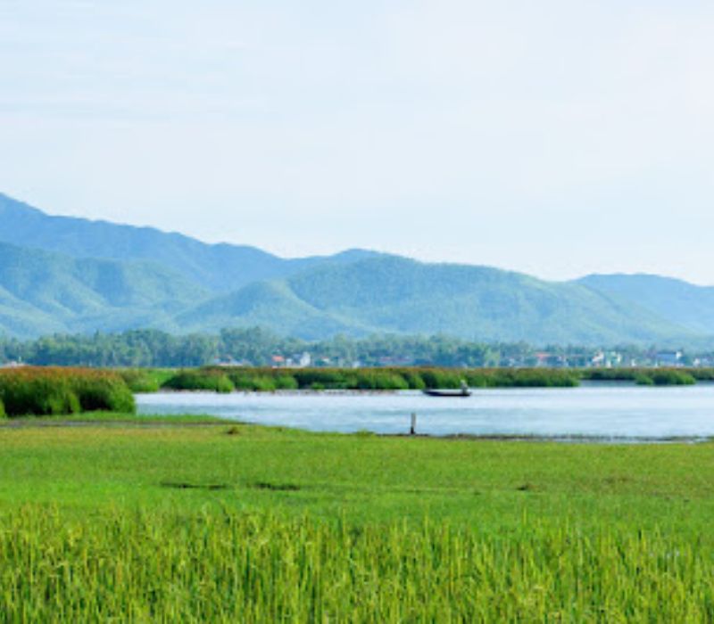 Đầm Trà Ổ, hành trình khám phá thiên nhiên tuyệt đẹp ở Bình Định