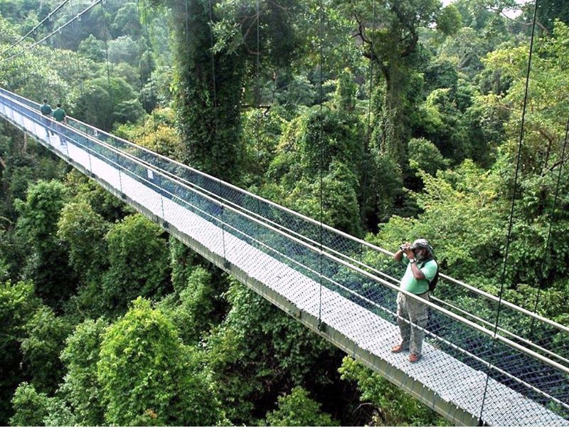 Vui chơi thả ga tại 11 công viên Singapore hút khách du lịch nhất 3