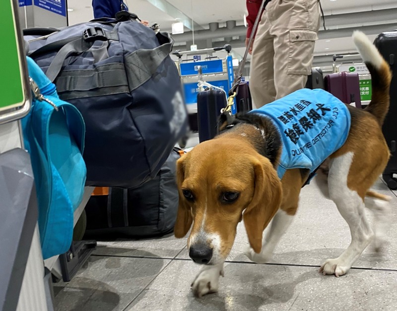 Danh sách những đồ được mang sang Nhật cần lưu ý kỹ 8