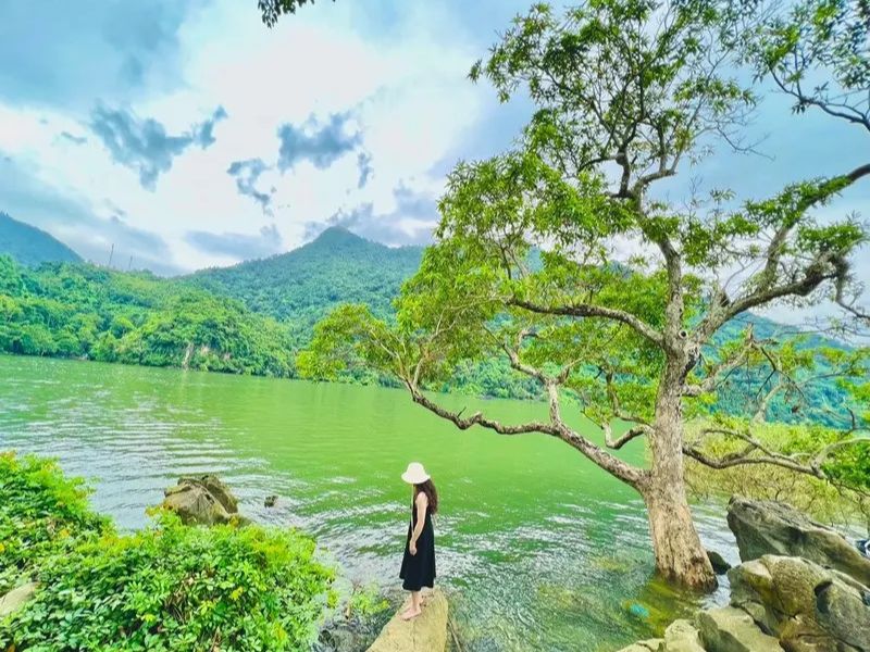 Đảo Bà Góa: 'Hòn non bộ' tự nhiên giữa lòng hồ Ba Bể 7