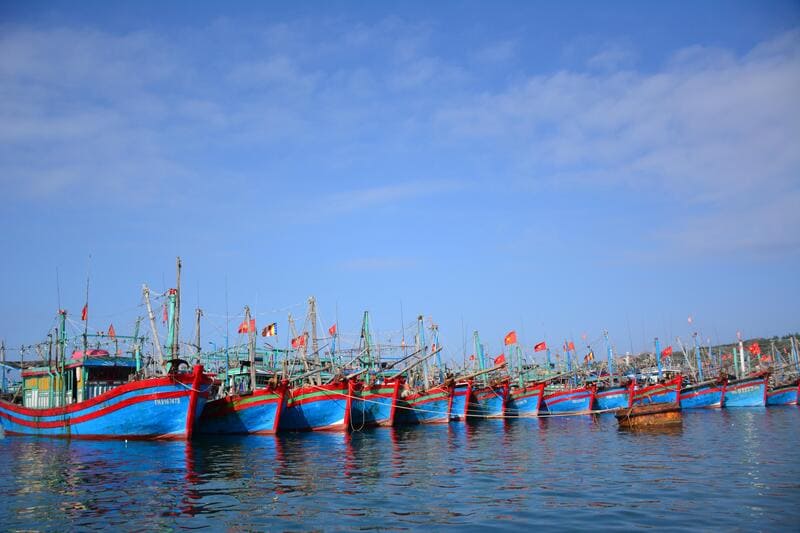 Kinh nghiệm khám phá đảo Bạch Long Vĩ được mệnh danh là Xứ sở bào ngư 4