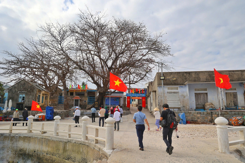 Đảo Bích Đầm: Nơi thiên nhiên ấn tượng thu vào trong tầm mắt 8