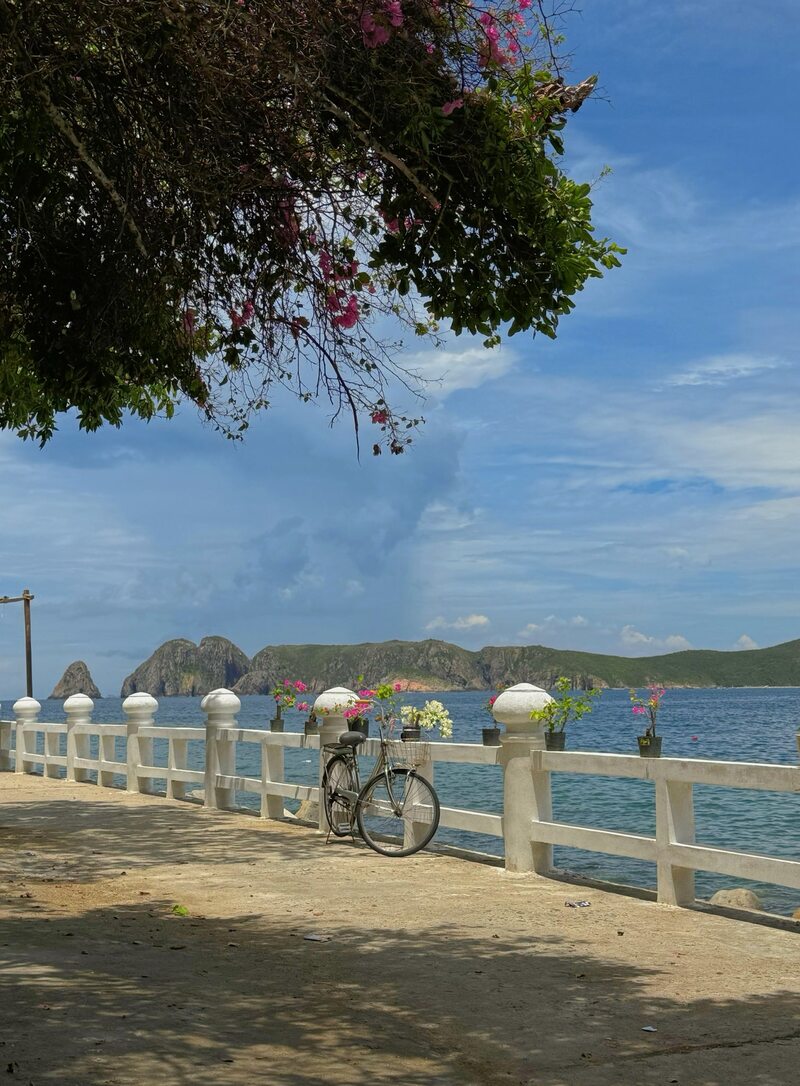Đảo Bích Đầm: Nơi thiên nhiên ấn tượng thu vào trong tầm mắt 9