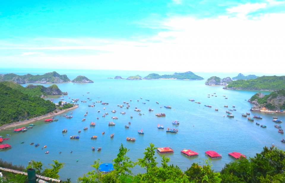 Đảo Cát Bà - Vẻ đẹp của hòn ngọc xanh khiến vịnh Hạ Long cũng phải ghen tị 4