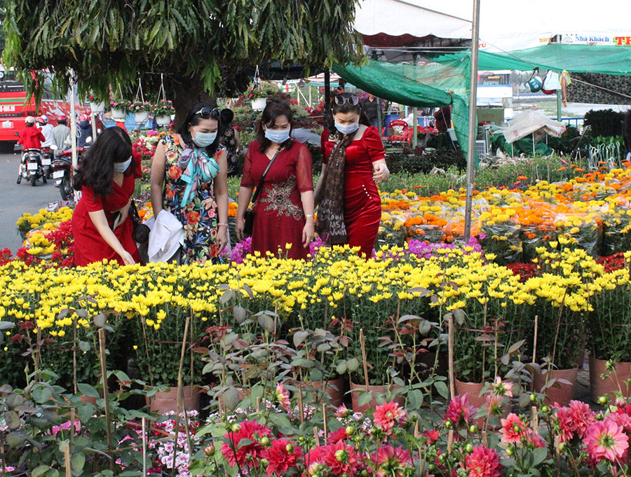 Dạo chợ hoa, kiểng thành phố Vĩnh Long thưởng ngoạn muôn ngàn sắc màu rực rỡ 6
