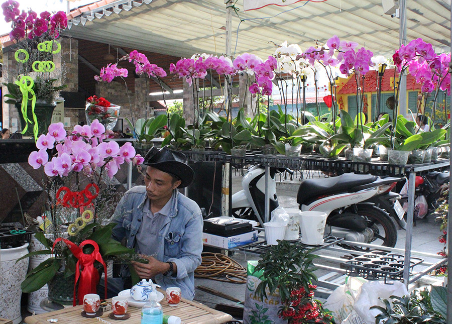 Dạo chợ hoa, kiểng thành phố Vĩnh Long thưởng ngoạn muôn ngàn sắc màu rực rỡ 7
