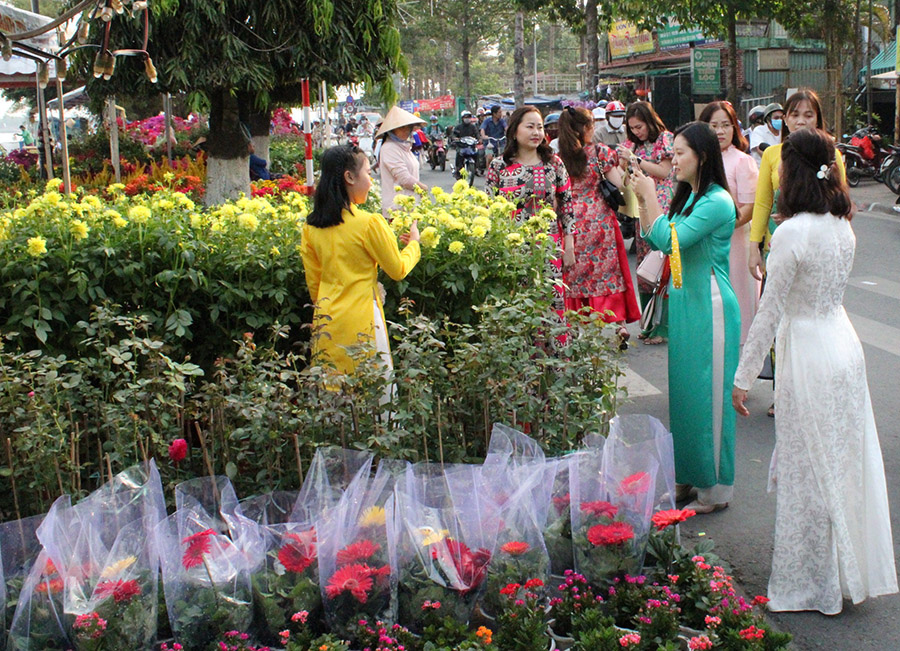 Dạo chợ hoa, kiểng thành phố Vĩnh Long thưởng ngoạn muôn ngàn sắc màu rực rỡ 8