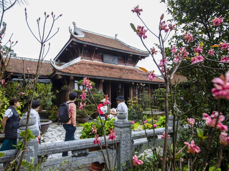 Theo dấu mùa Đào Chuông: Hành trình săn hoa nơi miền cao 5