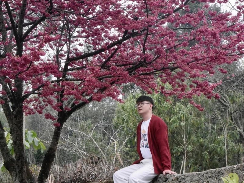 Theo dấu mùa Đào Chuông: Hành trình săn hoa nơi miền cao 4