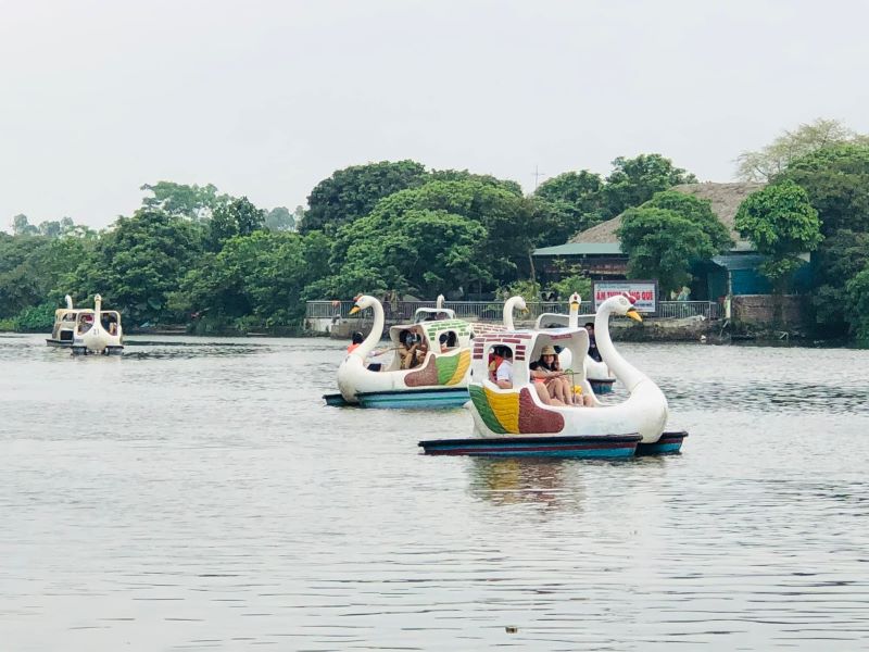 Đảo Cò, “Viên ngọc quý” của vùng đất Hải Dương 6