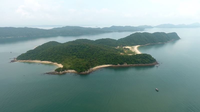 Đảo Đá Dựng, viên ngọc thô giữa lòng Quảng Ninh 3