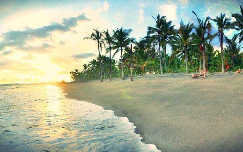 Đảo Dừa Nha Trang có gì? Trải nghiệm du lịch đầy cuốn hút 3
