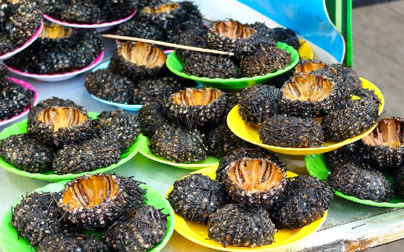Đảo Dừa Nha Trang có gì? Trải nghiệm du lịch đầy cuốn hút 8