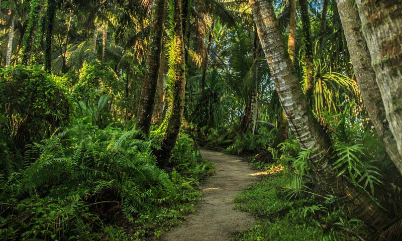Khám phá vẻ đẹp đảo Guam, viên ngọc quý của Thái Bình Dương 9