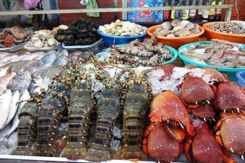 Khám phá đảo Hòn Mê, hòn ngọc giữa xứ Thanh 7