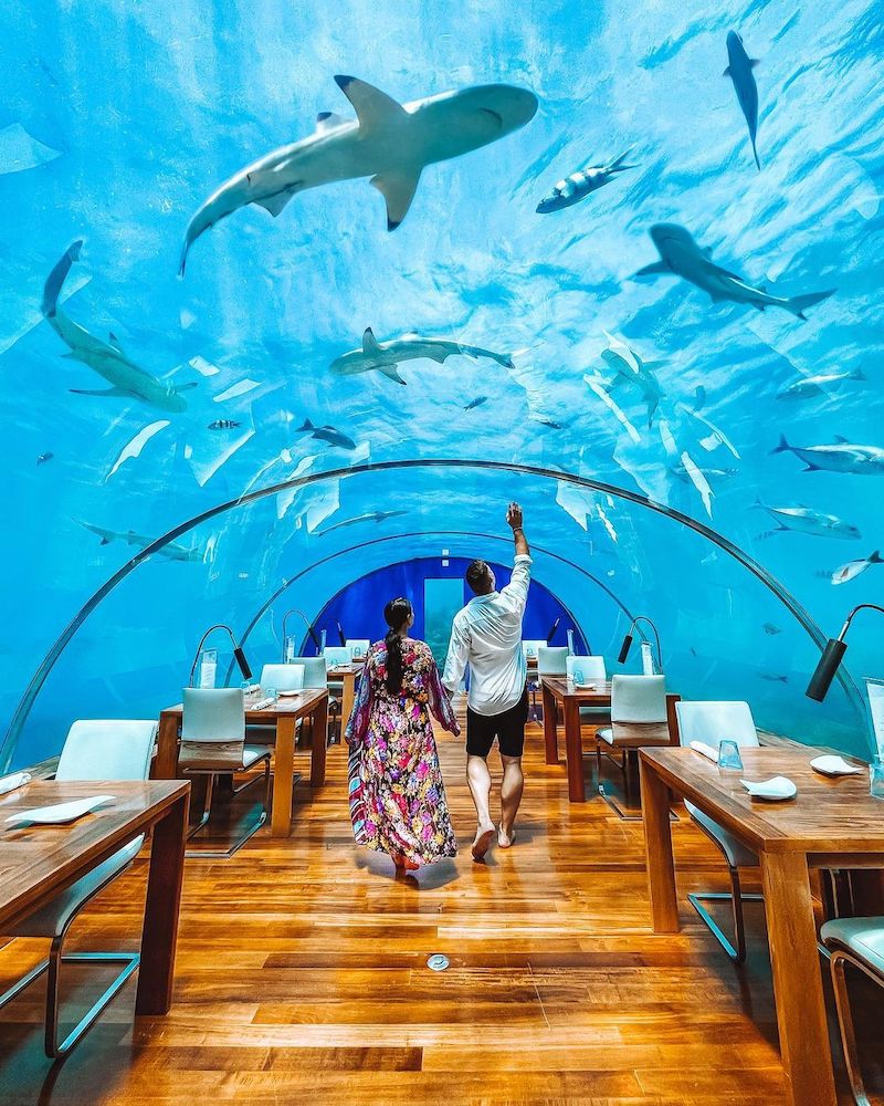 Quốc đảo Maldives sở hữu vẻ đẹp ngoạn mục thu hút bao người có gì đặc sắc 16