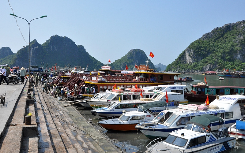 Khám phá đảo Ngọc Vừng: Vùng đất lịch sử với cảnh sắc hùng vĩ 6
