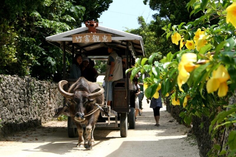 Du ngoạn đảo Okinawa, chinh phục viên ngọc quý ngoài khơi Nhật Bản 9