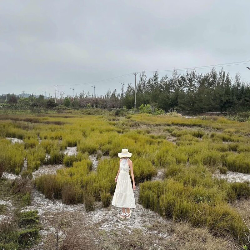 Review Đảo Quan Lạn: Thiên đường du lịch nơi vịnh Bái Tử Long 9