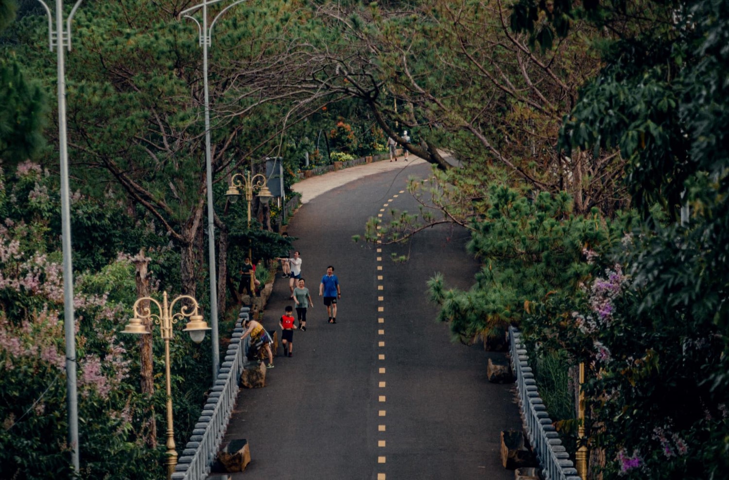 Dạo quanh Biển hồ Gia Lai dưới ống kính của Vũ Minh Công 4