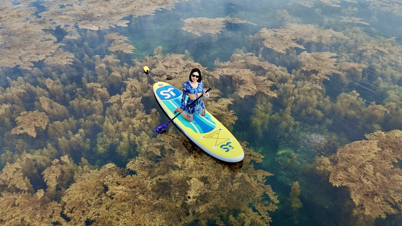 Khám phá những hòn đảo Quy Nhơn đẹp hút hồn 7