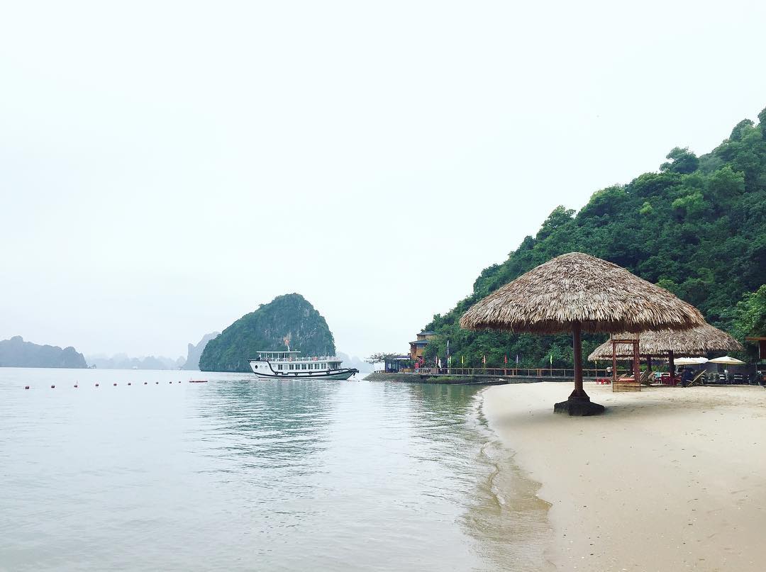 Đảo Soi Sim - Khám phá vẻ đẹp hoang vu giữa lòng Di sản vịnh Hạ Long 2