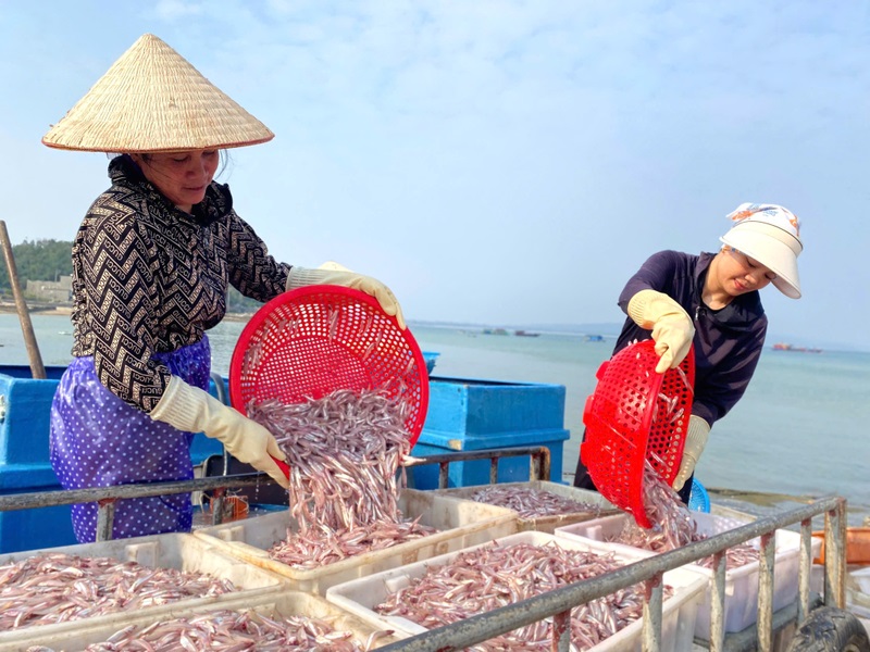 Đảo Thanh Lân, viên ngọc sáng đầy tiềm năng của Cô Tô 5