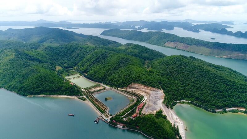 Đảo Thẻ Vàng Quảng Ninh một viên ngọc giữa Bái Tử Long 2