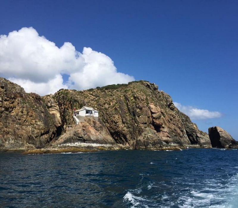 Lạc vào Đảo Yến Quy Nhơn và những trải nghiệm chưa từng kể 4