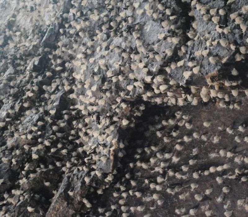 Lạc vào Đảo Yến Quy Nhơn và những trải nghiệm chưa từng kể 5