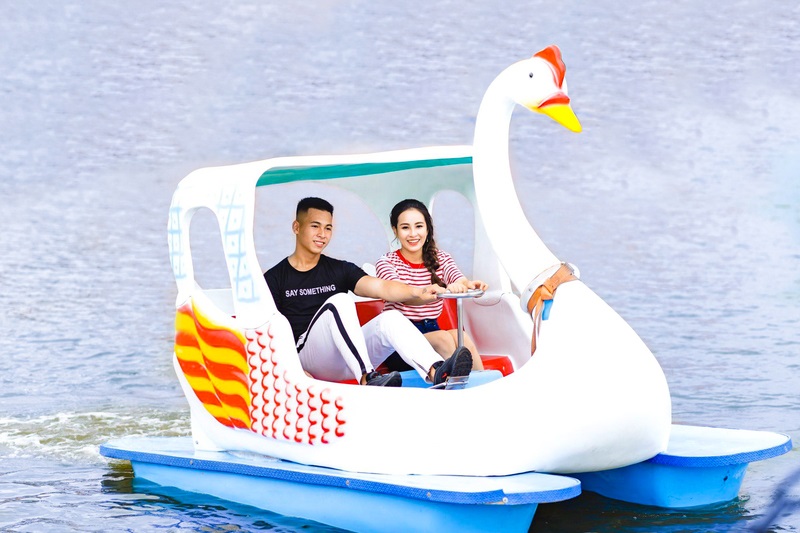 Lạc giữa Dapa Hill Đà Lạt, một thiên đường hoa bốn mùa 8