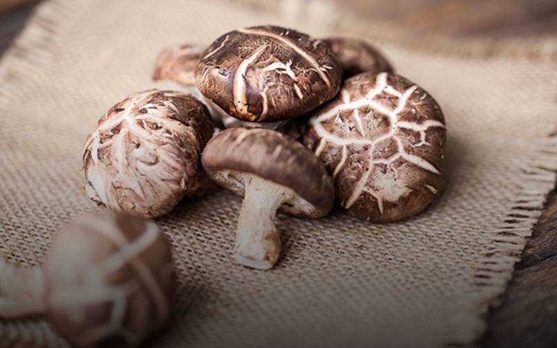 Dashi là gì? Nước dùng “linh hồn” của ẩm thực Nhật Bản 6