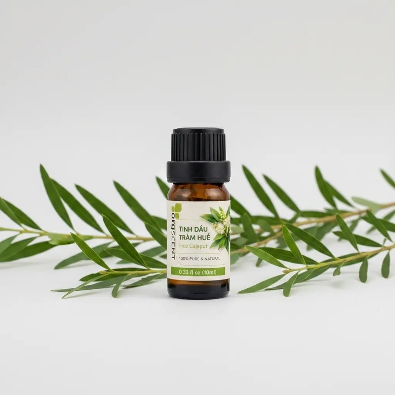 Review tinh dầu tràm Huế, quà tặng đậm nét văn hóa kinh kỳ 2