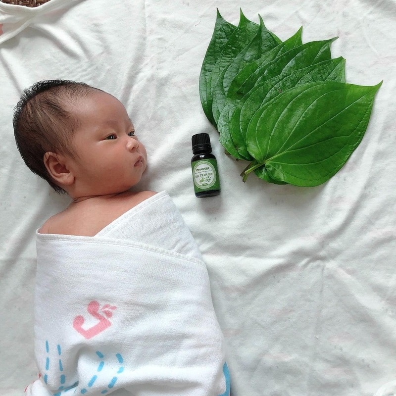 Review tinh dầu tràm Huế, quà tặng đậm nét văn hóa kinh kỳ 3